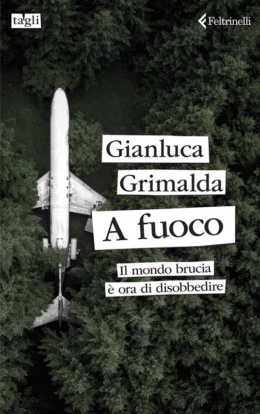 A fuoco. Il mondo brucia è ora di disobbedire - Gianluca Grimalda - ebook