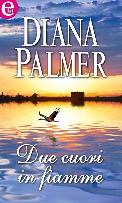 Due cuori in fiamme - Diana Palmer - ebook