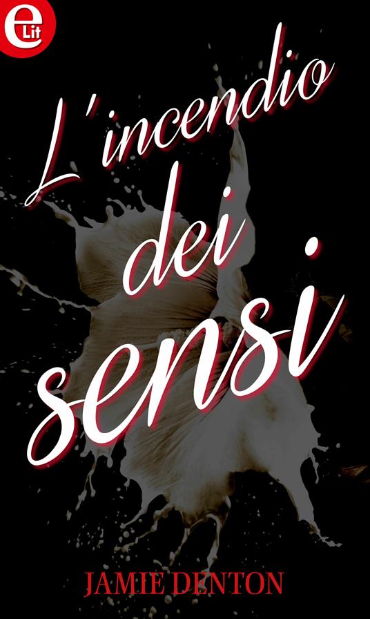L' incendio dei sensi. A qualcuno piace caldo. Vol. 2 - Jamie Denton - ebook