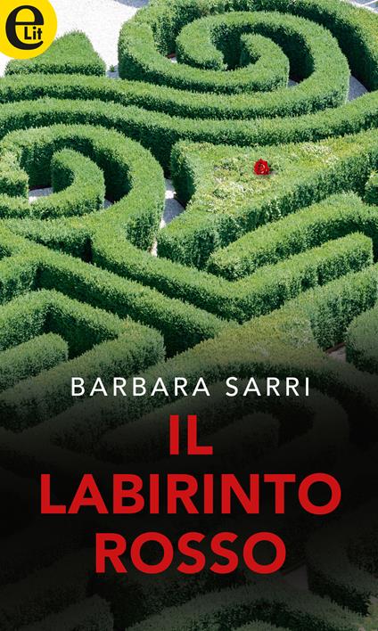 Il labirinto rosso - Barbara Sarri - ebook