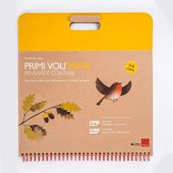 Primi voli maxi. Apprendere nella scuola dell'infanzia con il metodo analogico