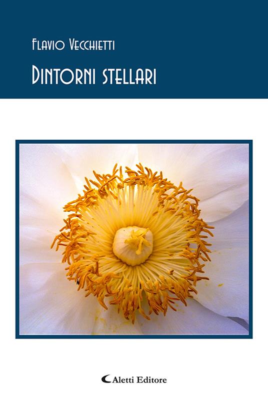 Dintorni stellari - Flavio Vecchietti - copertina