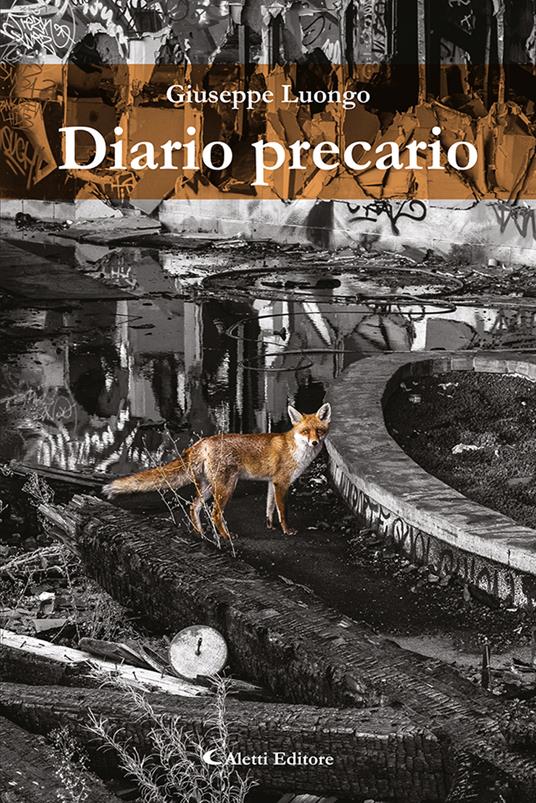 Diario precario - Giuseppe Luongo - copertina