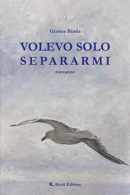 VOLEVO SOLO SEPARARMI - Gianna Binda - ebook