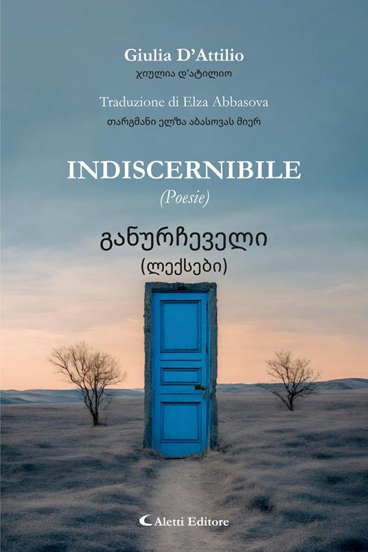 Indiscernibile - Giulia D'Attilio,Francesco Gazzè,Elza Abbasova - ebook