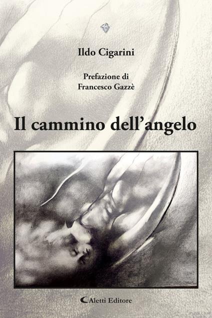 Il cammino dell'angelo - Ildo Cigarini - ebook