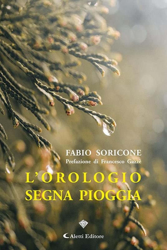 L'orologio segna pioggia - Fabio Soricone - copertina