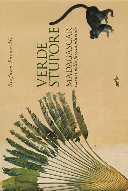 Verde stupore. Madagascar. Carnet della foresta pluviale - Stefano Faravelli - copertina