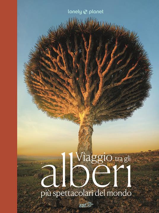 Viaggio tra gli alberi più spettacolari del mondo. Ediz. a colori - copertina
