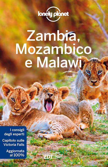 Zambia, Mozambico e Malawi - James Bainbridge,Mary Fitzpatrick,Trent Holden,Brendan Sainsbury - ebook