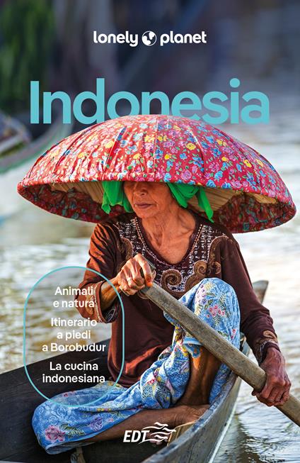 Indonesia - David Eimer,Paul Harding,Ashley Harrell - ebook
