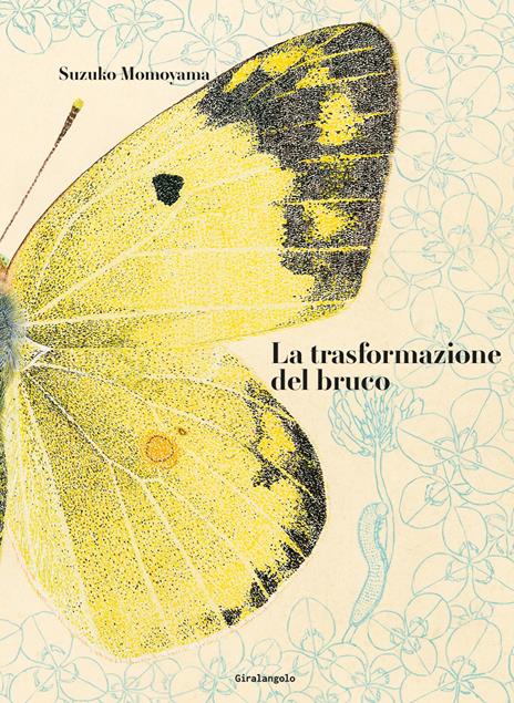 La trasformazione del bruco - Suzuko Momoyama,Takenari Inoue - copertina
