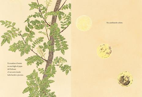 La trasformazione del bruco - Suzuko Momoyama,Takenari Inoue - 2