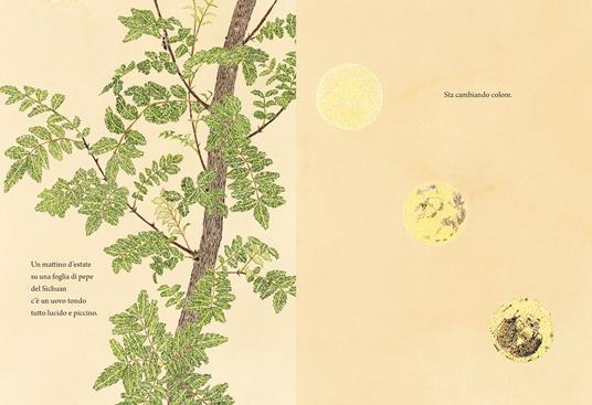 La trasformazione del bruco - Suzuko Momoyama,Takenari Inoue - 2