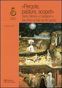 «Pergole, pasture, scopeti». Santo Stefano a Castiglioni e San Piero a Casi nel XV secolo - Francesco Ricci - copertina