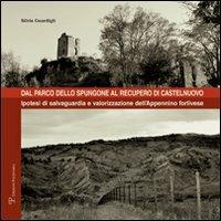 Dal parco dello Spungone al recupero di Castelnuovo. Ipotesi di salvaguardia e valorizzazione dell'Appennino forlivese - Silvia Guardigli - copertina