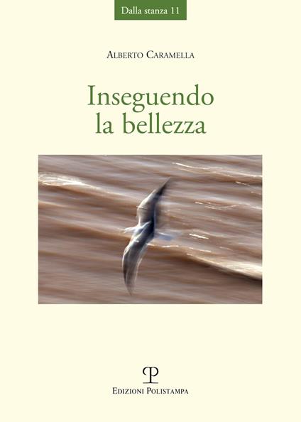 Inseguendo la bellezza - Alberto Caramella - copertina