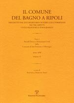 Il Comune del Bagno a Ripoli descritto dal suo segretario notaro Luigi Torrigiani nei tre aspetti civili religioso e topografico. Vol. 6: Ricordi storici e monumenti civili della Contrada di San Donnino a Villamagna.