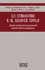 Lo straniero e il giudice civile. Aspetti sostanziali e processuali di diritto dell'immigrazione