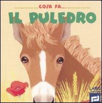 Cosa fa il puledro. Ediz. illustrata - copertina