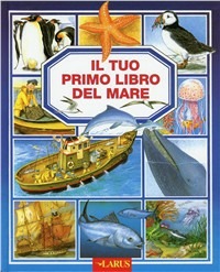 Libraccio