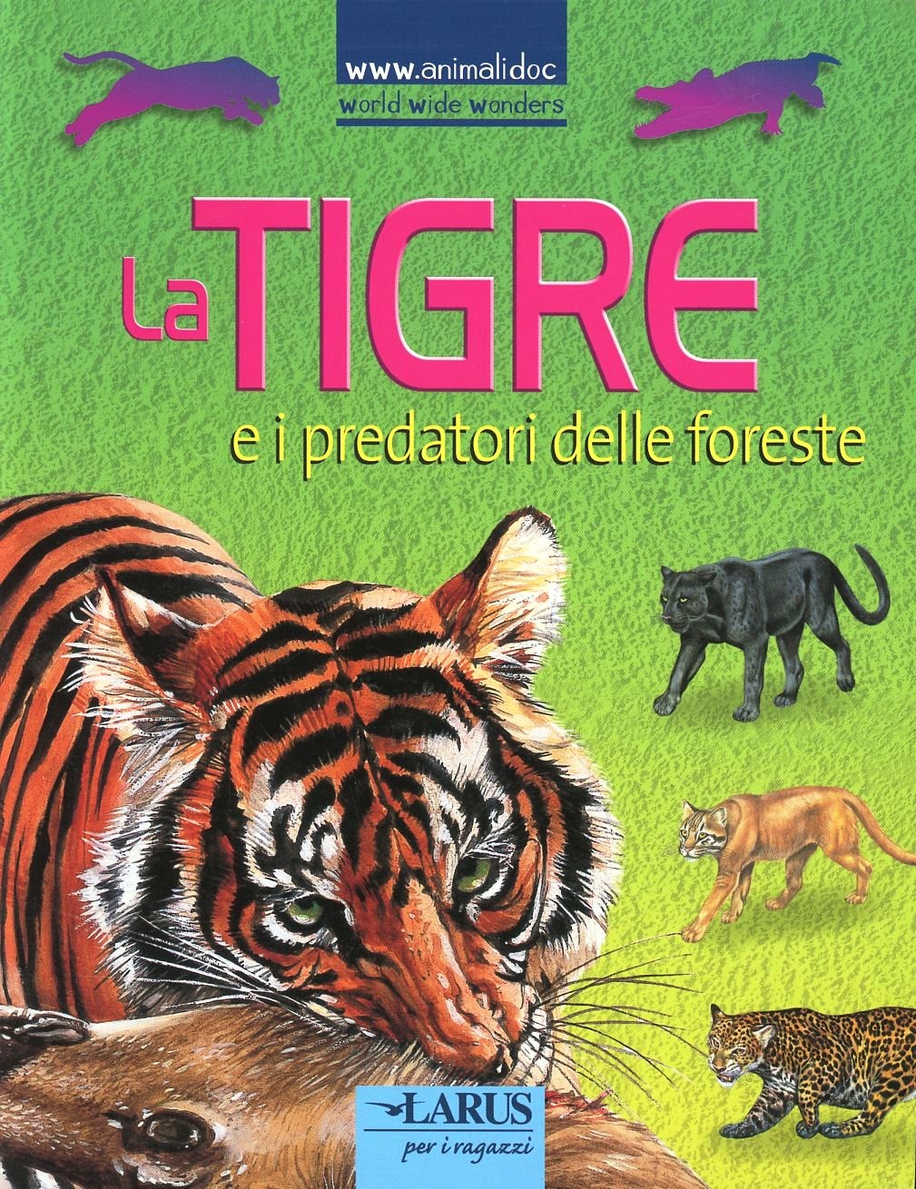 Libraccio