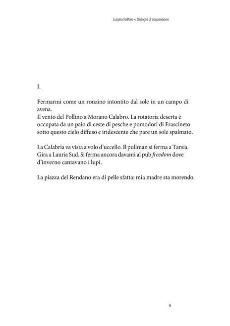 Dialoghi di sospensione - Luigina Ruffolo - 2
