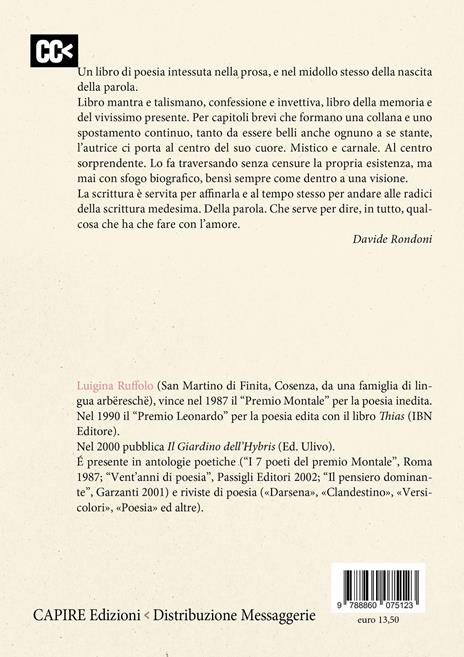 Dialoghi di sospensione - Luigina Ruffolo - 3