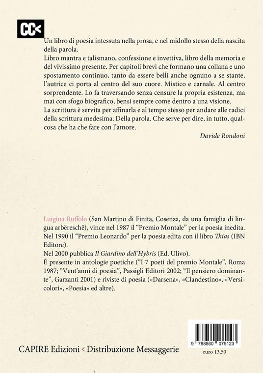 Dialoghi di sospensione - Luigina Ruffolo - 3