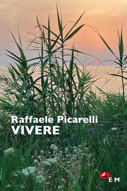 Vivere stanze poetiche - Raffaele Picarelli,Donata Biserni,Andrea Ulivi - copertina