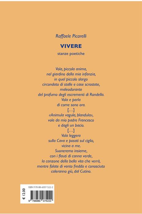 Vivere stanze poetiche - Raffaele Picarelli,Donata Biserni,Andrea Ulivi - 2