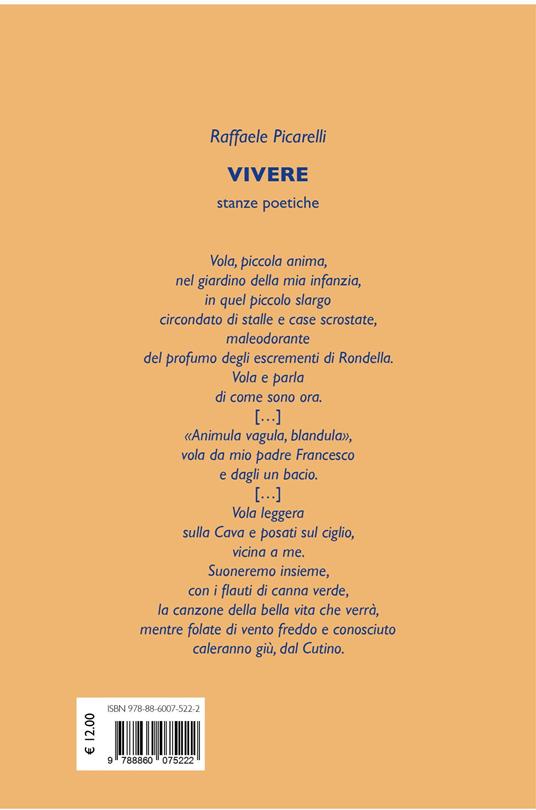 Vivere stanze poetiche - Raffaele Picarelli,Donata Biserni,Andrea Ulivi - 2