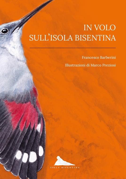 In volo sull'isola Bisentina - Francesco Barberini - copertina