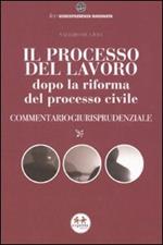 Il processo del lavoro dopo la riforma del processo civile. Commentario giurisprudenziale