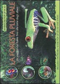 La foresta pluviale. Un viaggio dai fiume alle cime degli alberi. Ediz. illustrata - copertina