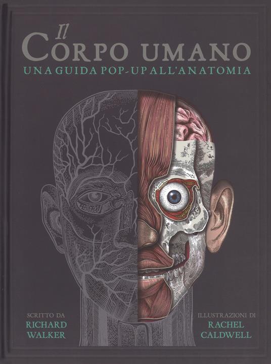 Il corpo umano. Una guida pop-up all'anatomia - Richard Walker - copertina