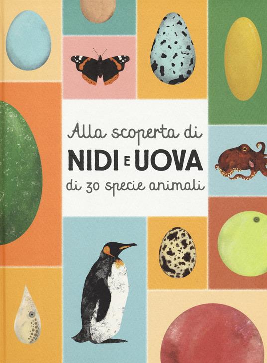 Alla scoperta di nidi e uova di 30 specie animali. Con Poster - Markéta Nováková,Eva Bártová,Blanka Sedláková - copertina