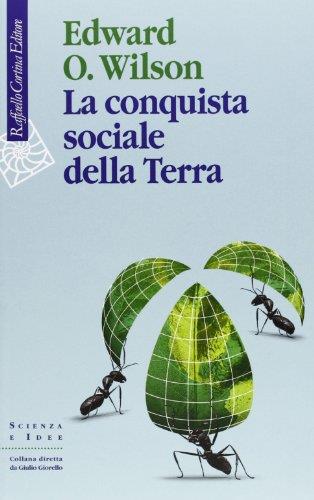 Librisaggi