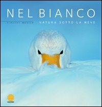 Libraccio