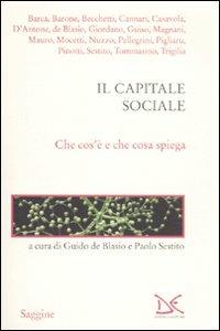 Il capitale sociale. Che cos'è e che cosa spiega - copertina