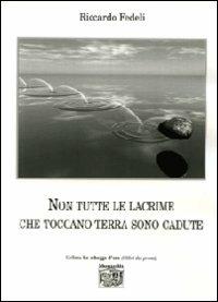 Non tutte le lacrime che toccano terra sono cadute - Riccardo Fedeli - copertina