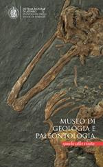 Museo di geologia e palentologia. Guida alla visita