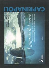 I giganti del mare - Franco Esposito,Marco Lobasso - copertina
