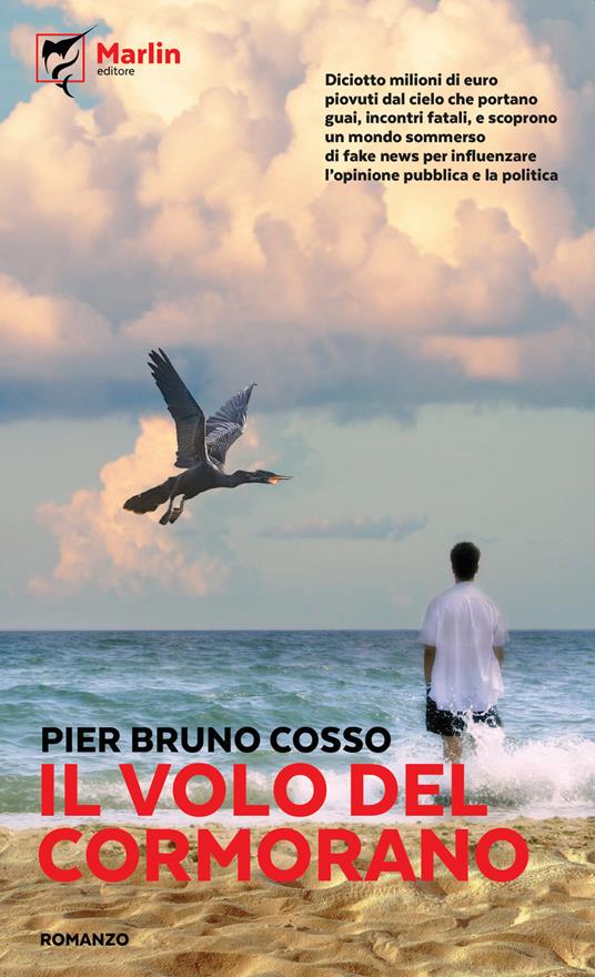 Il volo del cormorano - Pier Bruno Cosso - copertina