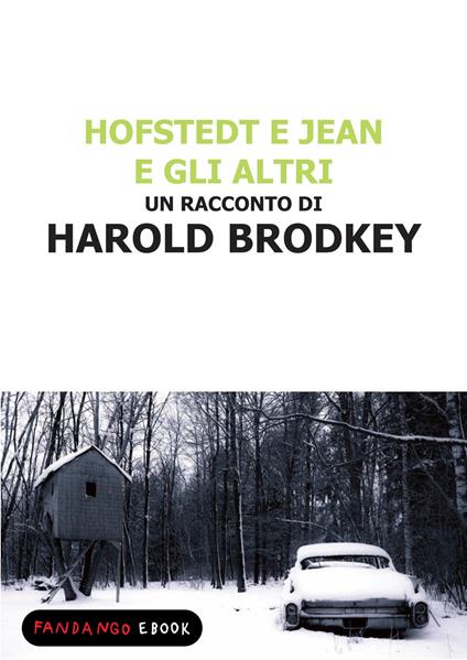 Hofstedt e Jean e gli altri - Harold Brodkey - ebook