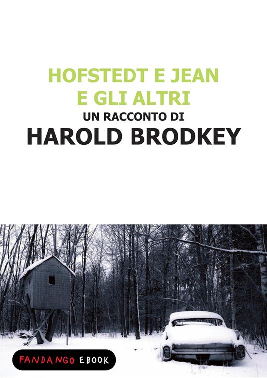 Hofstedt e Jean e gli altri - Harold Brodkey - ebook