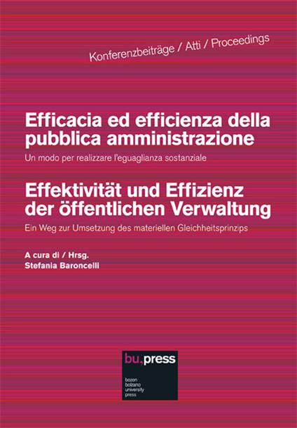 Efficacia ed efficienza della pubblica amministrazione. Un modo per realizzare l'eguaglianza sostanziale - copertina