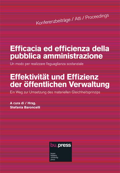 Efficacia ed efficienza della pubblica amministrazione. Un modo per realizzare l'eguaglianza sostanziale - copertina