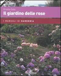 Libraccio