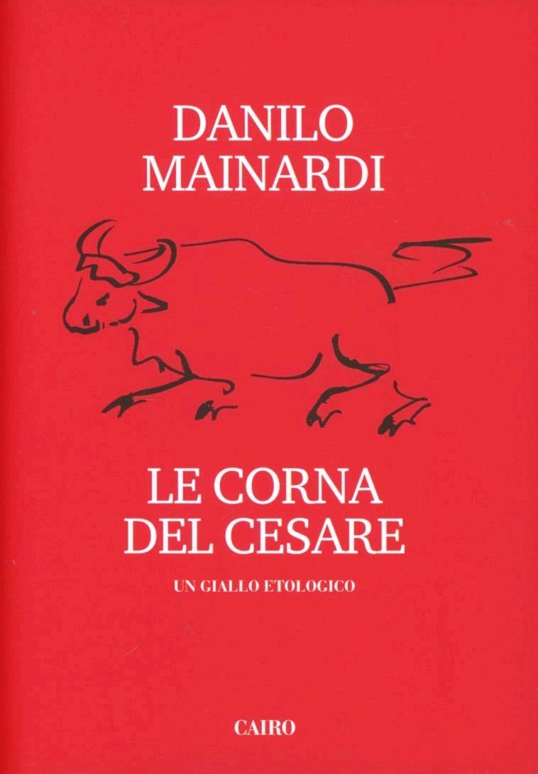 Libraccio